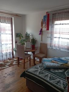 1 dormitorio con 1 cama, mesa y sillas en Rooms Apartment Durmitor, en Žabljak