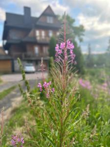 une plante avec des fleurs roses devant une maison dans l'établissement Willa Alta, à Bukowina Tatrzańska