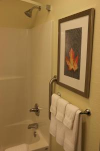 Bathroom sa Candlewood Suites Bloomington, an IHG Hotel