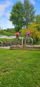 Ciclismo em Rifugio Fornas ou nos arredores