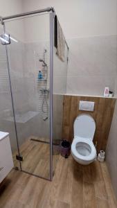 een badkamer met een douche en een toilet bij Földváry 3in1 Apartments in Szeged