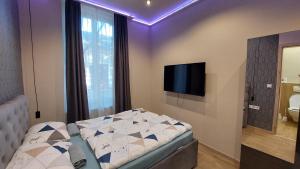 een slaapkamer met een bed en een flatscreen-tv bij Földváry 3in1 Apartments in Szeged