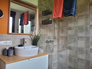 bagno con lavandino e doccia di Achims Hüttl a Bad Berka