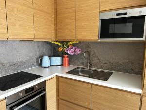 Dapur atau dapur kecil di Penthouse Vakantielust