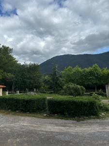 Un paisaje natural cerca de la casa de huéspedes