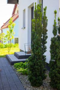 een tuin met twee bomen en een gebouw bij Domki u Marty - Władysławowo in Władysławowo