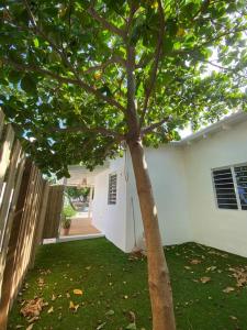 Un jardín fuera de Cozy home in Curaçao