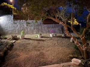 een tuin met potplanten en 's nachts een boom bij Villa Amea in Torre Dei Corsari