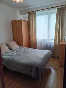 1 dormitorio con cama y ventana grande en Apartament Mazury, en Olecko