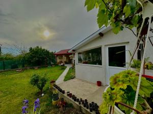 A garden outside Casa Enka