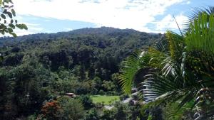 una vista de la selva desde la parte superior en Casa de campo Perlas del Río, en Cartago