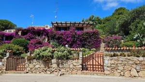 a stone retaining wall with a gate and purple flowers at LA TERRAZZA SUL MARE - panoramic cottage overlooking sea and Caprera island in a quiet residential area - 150 mt from the sea in La Maddalena