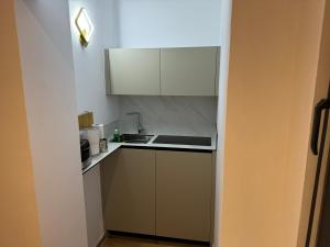 Virtuvė arba virtuvėlė apgyvendinimo įstaigoje Pristina Select Apartments