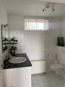 ein Bad mit einem Waschbecken und einem WC in der Unterkunft B&B slapen in de veenhoop in De Veenhoop