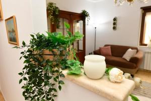 a living room with a vase and a plant on a counter at B&B Family in Torre del Greco