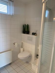 ein weißes Bad mit einem WC und einer Dusche in der Unterkunft B&B slapen in de veenhoop in De Veenhoop