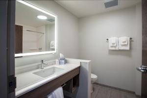 Ванна кімната в Holiday Inn Express & Suites Pensacola Airport North – I-10, an IHG Hotel