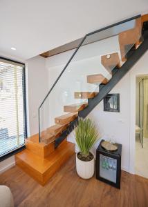 a staircase in a living room with a potted plant at Kompleksi Turistik DEA in Shkodër