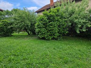 Сад в GreenFamilyAppartment near Ljubljana