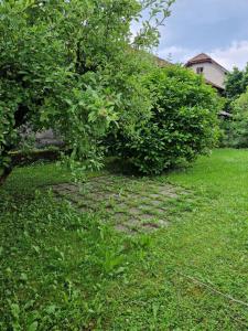 Сад в GreenFamilyAppartment near Ljubljana