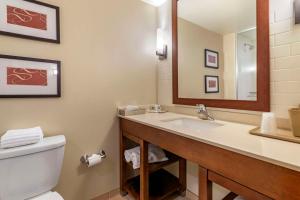 Un baño de Comfort Suites Manheim - Lancaster