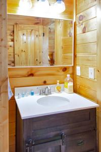 La salle de bains est pourvue d'un lavabo et d'un miroir. dans l'établissement Cabin In The Smokeys, à Gatlinburg