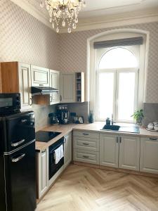 cocina con nevera negra y ventana en Apartment Nicol, en Karlovy Vary