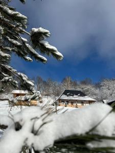 ein schneebedecktes Haus vor der Tür in der Unterkunft Casa Berg in Vişeu de Sus