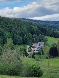 uma casa no meio de um campo verde em Auberge La Tête En L'Air em Hohwald