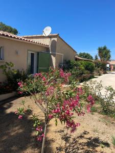 uma planta com flores rosas em frente a uma casa em Résidence Beausoleil em Galeria