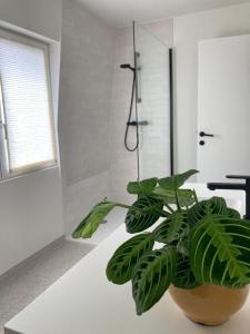 La salle de bains est pourvue d'une douche et d'une plante verte. dans l'établissement Charmante stadswoning aan Groen Kwartier, à Anvers