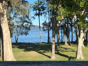 ein Park mit Bäumen und einem Wasserkörper in der Unterkunft Camp Elim in Forster