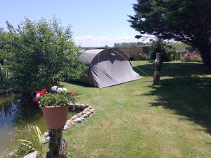 カイユー・シュル・メールにあるtente en baie de somme chez l habitantの庭の鉢植えのテント