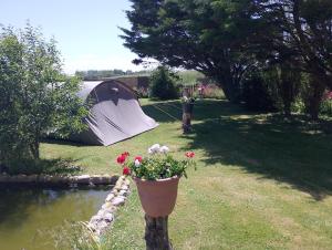 カイユー・シュル・メールにあるtente en baie de somme chez l habitantの池の横にある鉢植えの庭のテント