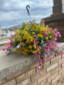 a bunch of flowers on a brick wall at Jahsavvy's Nest in Hamilton