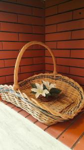 a basket with flowers in it on a brick wall at Apartamento com terraços privativos em resort de luxo in Alvor