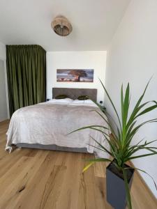 - une chambre avec un lit et une plante en pot dans l'établissement H52 Apartments, à Brno