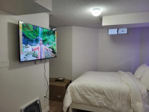 Televisyen dan/atau pusat hiburan di Cozy room basement with separate entrance