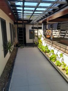 苏瓦BIDESI VILLA Apartments的里面的温室里种着生菜和植物