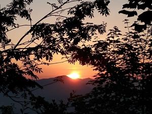 einen Sonnenuntergang in den Bergen mit einer Silhouette eines Baumes in der Unterkunft Rossfeld Modern retreat in Berchtesgaden