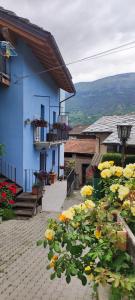 a blue building with flowers in front of it at Alexi cir 0009 in Chambave