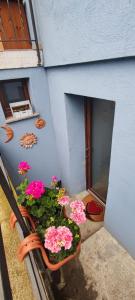 a planter with pink flowers on the side of a building at Alexi cir 0009 in Chambave