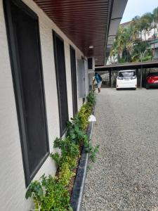 苏瓦BIDESI VILLA Apartments的建筑物一侧的一排植物