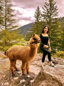 uma mulher de pé numa rocha ao lado de um lama em Nira Mountain Resort Futura em Valdidentro