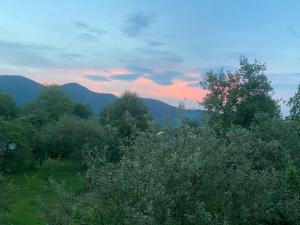 un gruppo di alberi con montagne sullo sfondo di Nad Cheremoshem a Tyudov