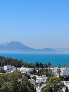 a view of a city with the ocean in the background at La Menara Hotel & SPA in Sidi Bou Saïd