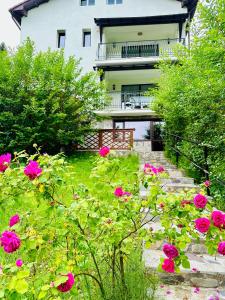 un jardín con rosas rosas frente a un edificio en Iepurasul Sinaia, en Sinaia