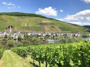 a view of a town with a river and vineyards at Ferienhaus Schwanennest in Zell an der Mosel