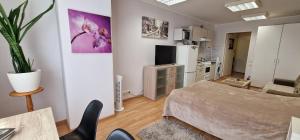 salon z łóżkiem i kuchnią w obiekcie Tallinn City Center Studio Apartment w Tallinnie