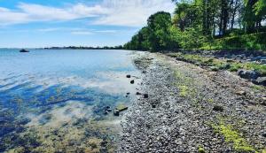 einen Strand mit Felsen, Wasser und Bäumen in der Unterkunft Altes Kapitänshaus von 1880 in Heiligenhafen